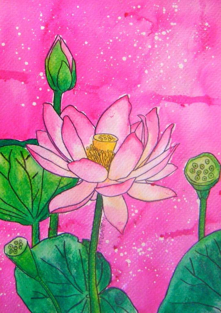 Pink Lotus Watercolour pencil and ink on paper 200mm x 300mm AUD$200